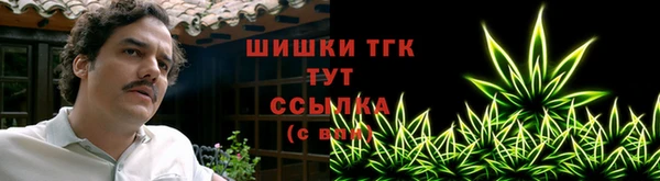 apvp Дмитриев
