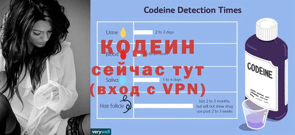 сатива Дмитров
