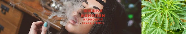 apvp Дмитриев