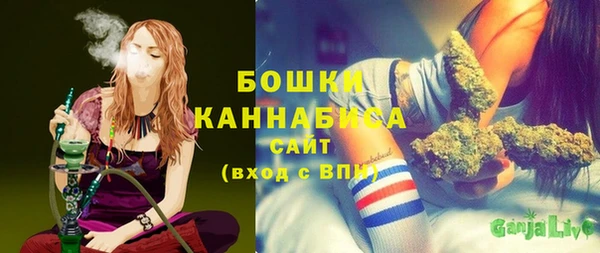 сатива Дмитров